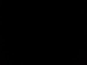 Schwarzes Foto