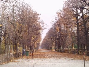 Foto von Alee Schönbrunn