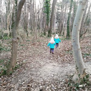 Kinder im Wald