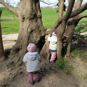 Foto Kinder bei Bäumen